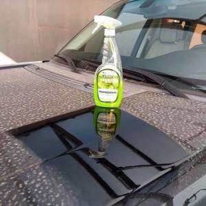 Pearl-Waterless-Car-Wash-Cleaning-Detailing-Green