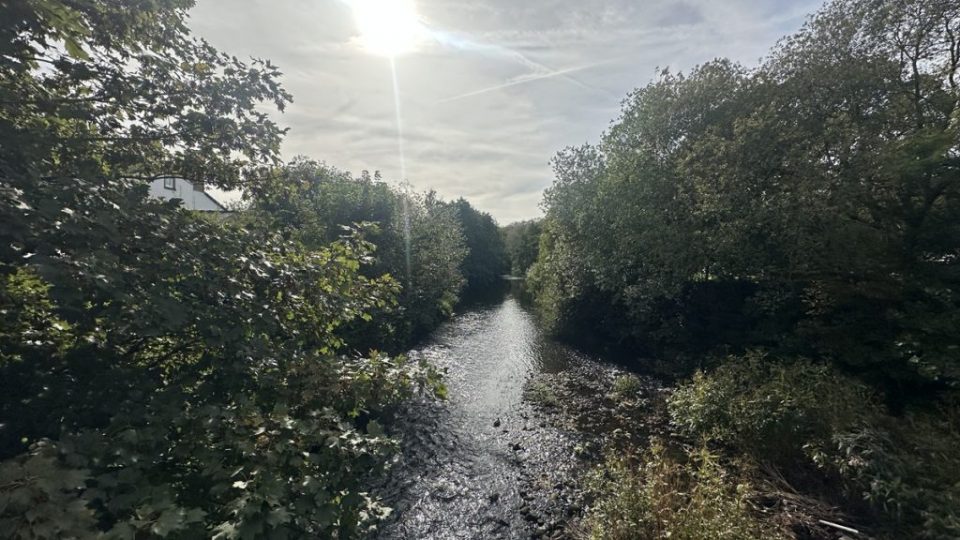 World-Rivers-Day 2026-River-Health-and-Waterway-Sustainability