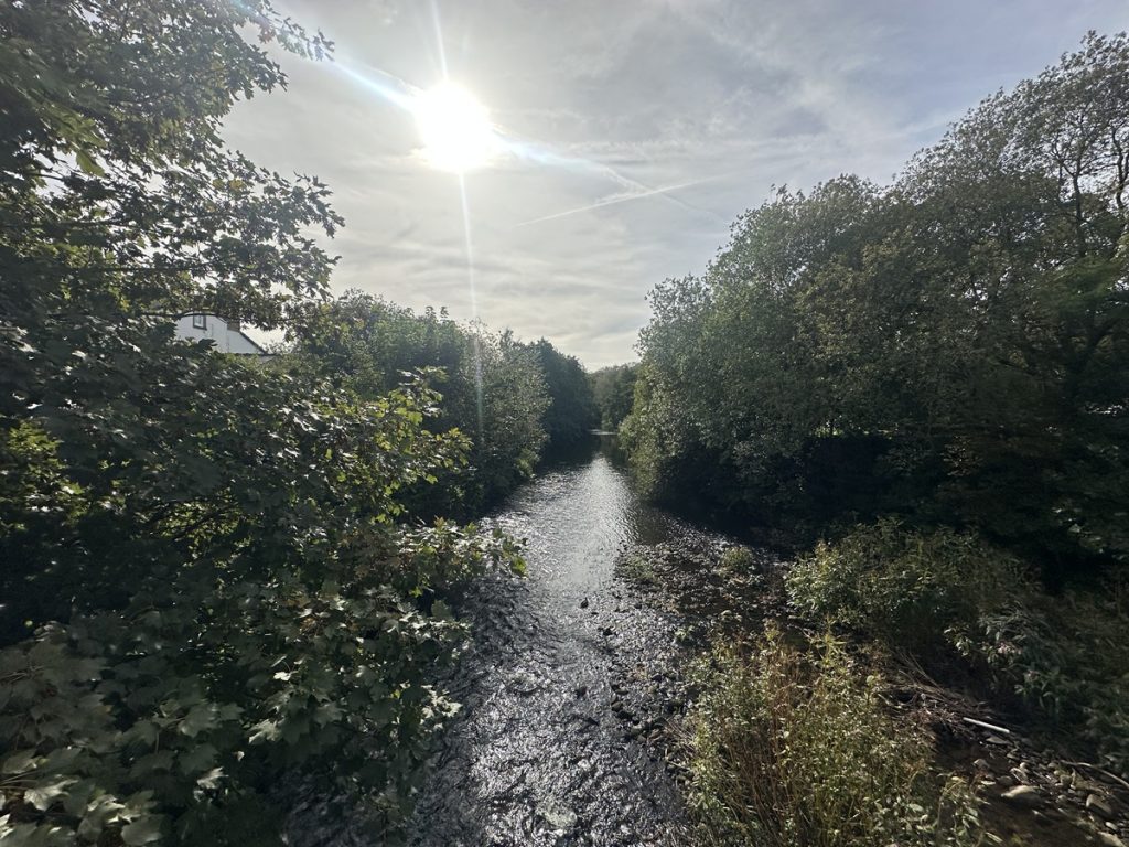 World-Rivers-Day 2026-River-Health-and-Waterway-Sustainability